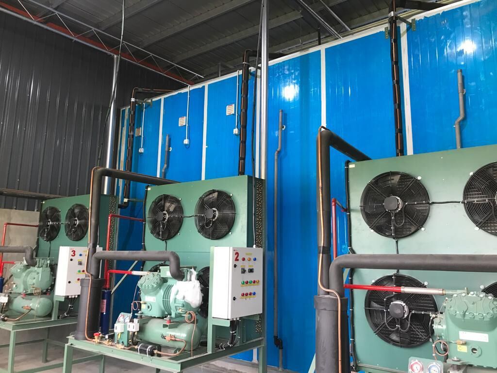 Green compressor units and condensers mounted beside a blue cold room wall