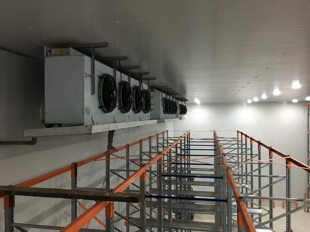Inside a large cold room with ceiling evaporator fans above storage racking